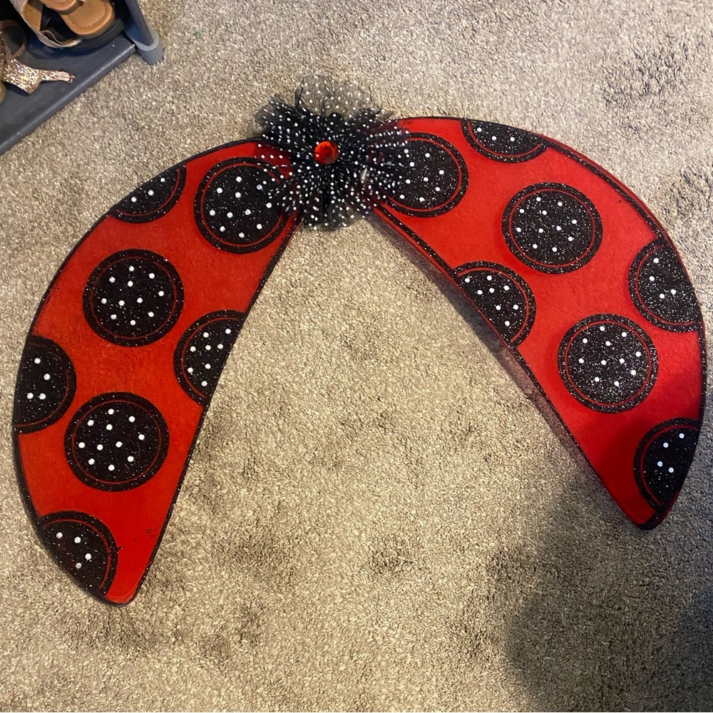 Adult butterfly wings